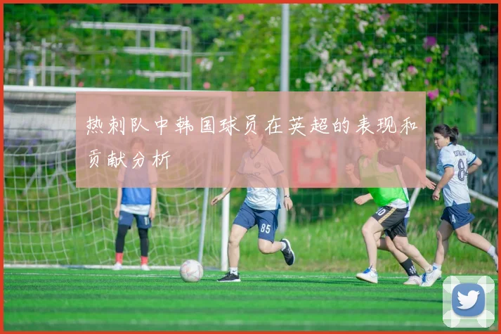 热刺队中韩国球员在英超的表现和贡献分析