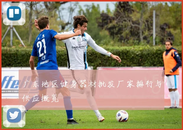 广东地区健身器材批发厂家排行与供应概览